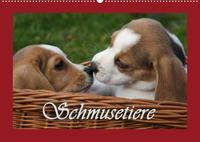 Schmusetiere (Wandkalender 2022 DIN A2 quer)