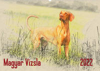 Magyar Vizsla 2022 (Wandkalender 2022 DIN A2 quer)