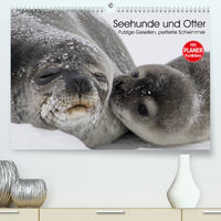 Seehunde und Otter. Putzige Gesellen, perfekte Schwimmer (Premium, hochwertiger DIN A2 Wandkalender 2023, Kunstdruck in Hochglanz)