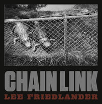 Chain Link