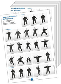 Poster - Die 15 Ausdrucksformen des Taiji-Qigong (10 Stück DIN A3)