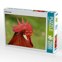 CALVENDO Puzzle Hahnen Haupt 2000 Teile Lege-Größe 90 x 67 cm Foto-Puzzle Bild von Kattobello