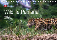 Wildlife Pantanal 2020 (Tischkalender 2020 DIN A5 quer)