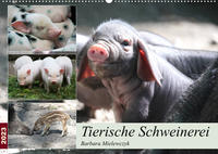 Tierische Schweinerei (Wandkalender 2023 DIN A2 quer)