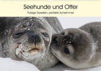 Seehunde und Otter. Putzige Gesellen, perfekte Schwimmer (Wandkalender 2023 DIN A2 quer)