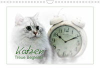 Katzen – Treue Begleiter (CH - Version) (Wandkalender 2022 DIN A4 quer)