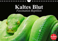 Kaltes Blut. Faszination Reptilien (Wandkalender 2023 DIN A4 quer)