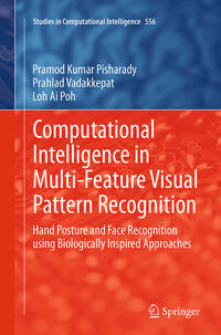 Computational Intelligence in Multi-Feature Visual Pattern Recognition