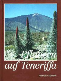 Pflanzen auf Teneriffa