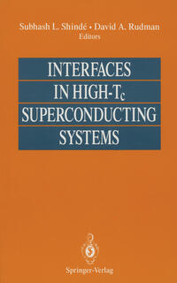 Interfaces in High-Tc Superconducting Systems