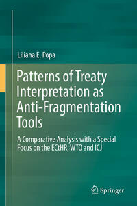 Patterns of Treaty Interpretation as Anti-Fragmentation Tools