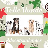 Tolle Hunde