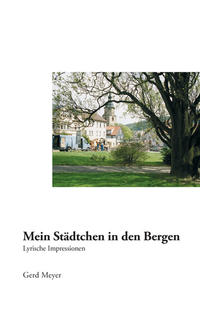 Mein Städtchen in den Bergen