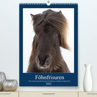 Föhnfrisuren (Premium, hochwertiger DIN A2 Wandkalender 2022, Kunstdruck in Hochglanz)