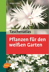 Pflanzen für den weißen Garten