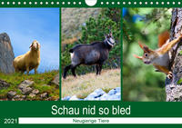 Schau nid so bled (Wandkalender 2021 DIN A4 quer)