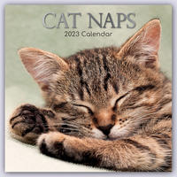 Cat Naps – Träumende Katzen 2023 – 16-Monatskalender