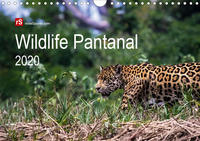 Wildlife Pantanal 2020 (Wandkalender 2020 DIN A4 quer)