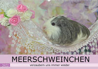 MEERSCHWEINCHEN verzaubern uns immer wieder (Wandkalender 2022 DIN A2 quer)