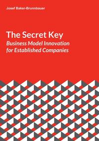 The Secret Key: Business Model Innovation for Established Companies