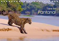 Tiere im Pantanal - viaje.ch (Tischkalender 2021 DIN A5 quer)