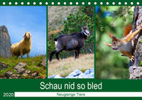 Schau nid so bled (Tischkalender 2020 DIN A5 quer)